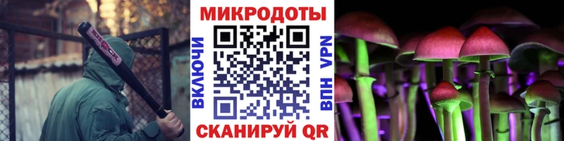 Псилоцибиновые грибы прущие грибы  МЕГА как войти  Тында 