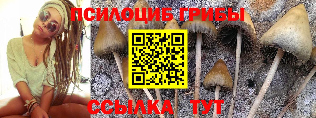 Галлюциногенные грибы мухоморы  Псилоцибиновые грибы Magic Shrooms  Вход с VPN  Тында 