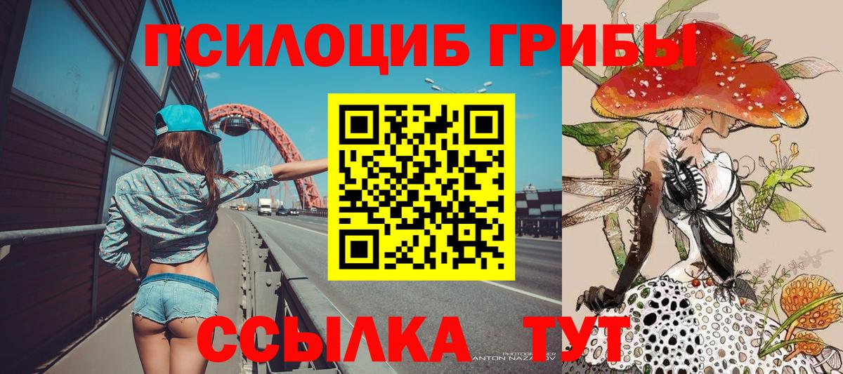 Галлюциногенные грибы Psilocybe Тында